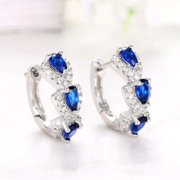 Elegant Silver and Blue Gemstone Earrings - Picture 4 of 9